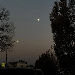 What it feels like to look at you