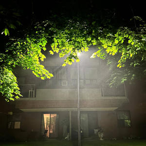 :**¡NEED/$$$**:. (feat. 3THVN!) (Explicit)