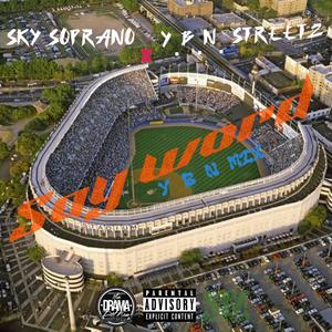 SAY WORD Y.B.N. mix (feat. STREETZ) (Explicit)