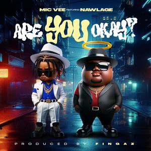 Are You Okay (feat. Nawlage) (Explicit)