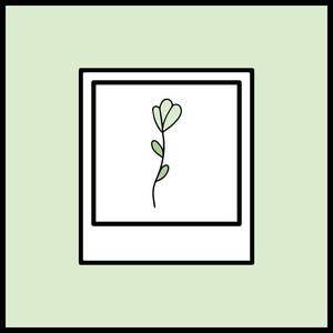 Stories En Mute (feat. Palma MSC) (Explicit)