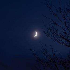 Moon (feat. NevaRAY) (Tek It Remix)
