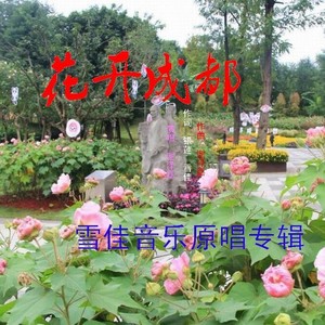 花开成都 (伴奏)