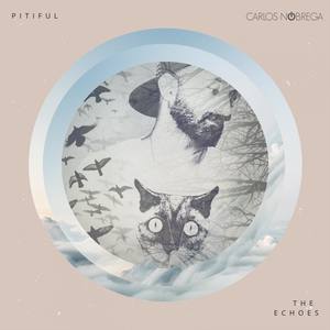 Pitiful (Paulo Pacco Remix)