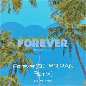 Forever (DJ MR.PAN Remix)