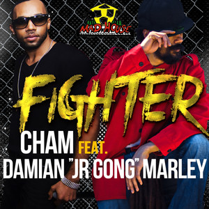 Fighter (Explicit)