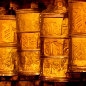 南方城市里的北方姑娘