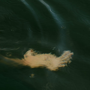 Troels Thomasen - New Wave (Explicit)