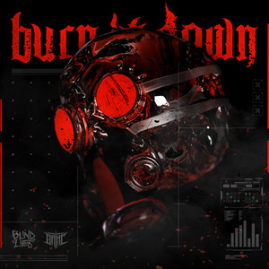 Burn It Down (Explicit)