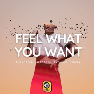 Feel What You Want (Radio Mix)