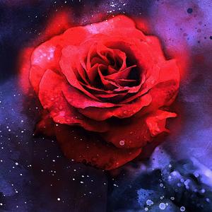 Roses (feat. Twist & Youngbuck) (Remix|Explicit)