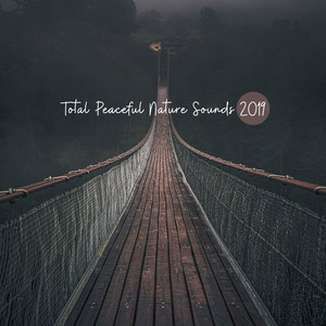 Total Peaceful Nature Sounds 2019: Compilation of New Age Ambient Relaxing Music, Rest & Calm Down, Soothing Nature Sounds of Water, Birds, Forest & Others, Beautiful Delicate Piano Melodies