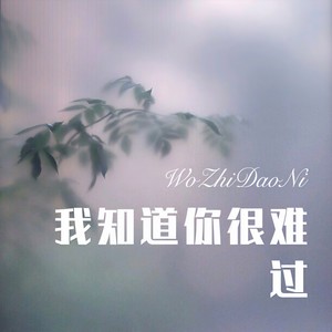 我知道你很难过 (Remix)