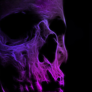 IDENTIFICATION (Explicit)