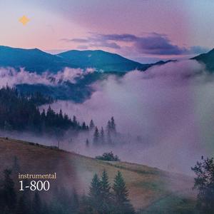 1-800 (no/vox’s version)