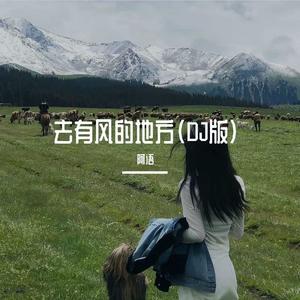 去有风的地方 (DJ版)