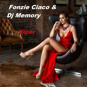 Viper (Dj Alfonso Slow Mix)