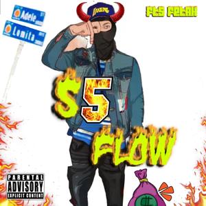 S5 Flow (Explicit)