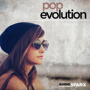 Pop Evolution Volume 17