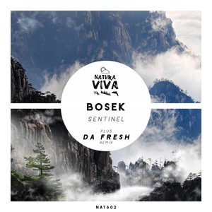 Sentinel (Da Fresh Remix)