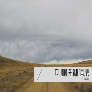 窗外的天气 (Live) - DJ啊阳封面