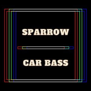 Car Bass