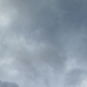 Dampe Thief of Wishes