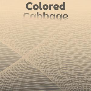 Colored Cabbage