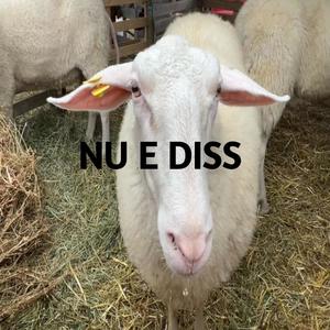 NU E DISS. (fit coae. De33ski) (Explicit)