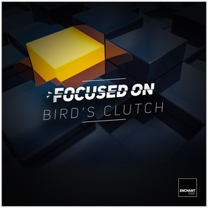 Focused On: Bird's Clutch (Explicit)