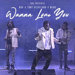 Wanna Love You (feat. Tony Cleveland, Nuk & Merc) [Clean Version]