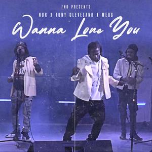 Wanna Love You(feat. Tony Cleveland, Nuk & Merc) (Clean)