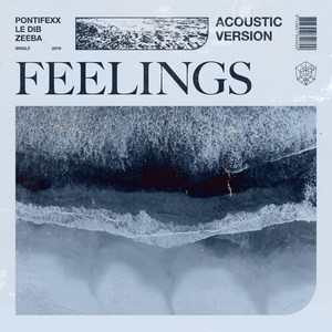 Feelings (Acoustic Version)