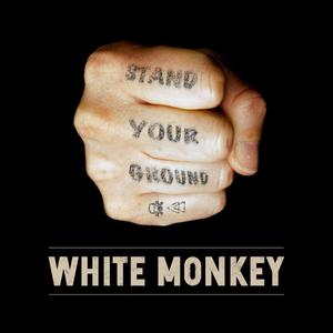 Stand Your Ground (Explicit)