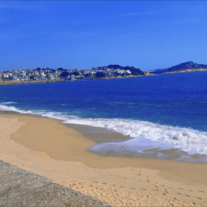 无名的人 (COVER版)