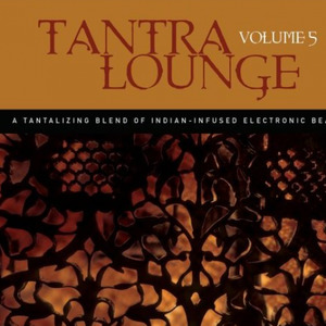 Tantra Lounge Vol.5