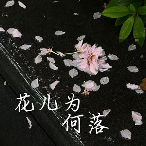 花儿为何落-卡带森林