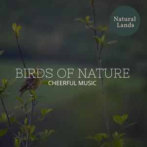 Birds of Nature - Cheerful Music