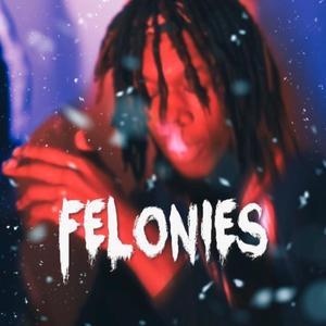 Felonies (feat. Authentix Hellraiser) [Explicit]