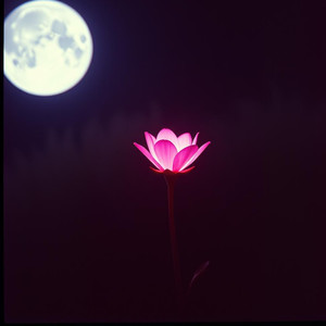 Rosa linda, sua Larissa