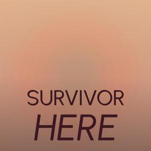 Survivor Here