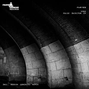 Pulse Injector (MaKaJa Gonzales Remix)