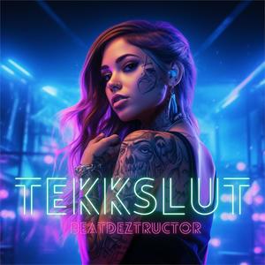 Tekkslut (Radio Edit) [Explicit]