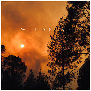 Wildfire