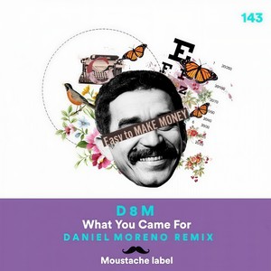 What You Came For (Daniel Moreno Remix)