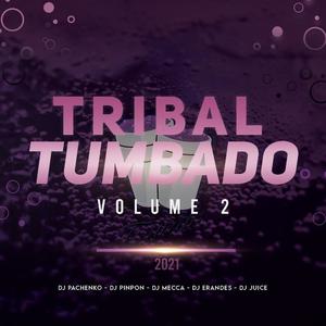 Tribal Tumbado, Vol. 2