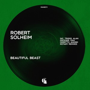 Beautiful Beast (Dan Ferritto Remix)