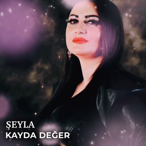 Kayda Değer