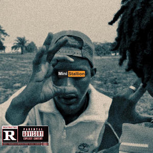 MINI STALLION (feat. Guysavage) [Explicit]