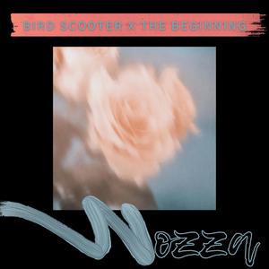 Bird Scooter x The Beginning